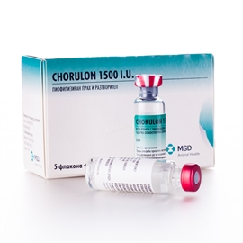 Chorulon 1500 IU