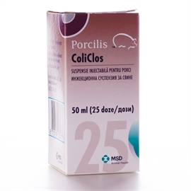 Pocilis Coli Clos