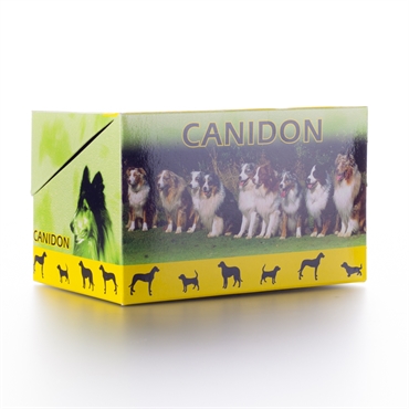 Канидон