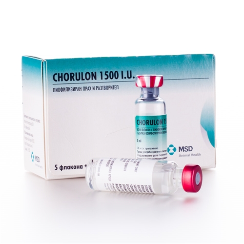 Chorulon 1500 IU