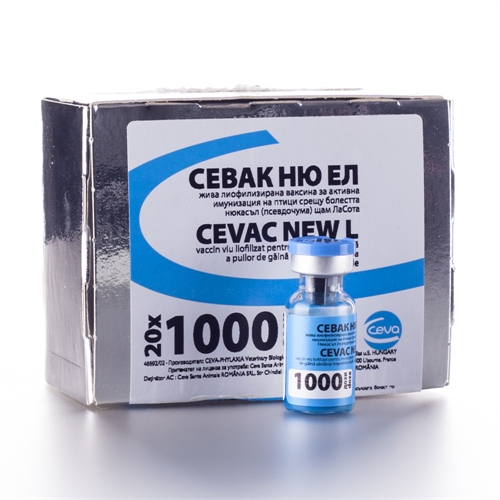 Севак Ню Ел