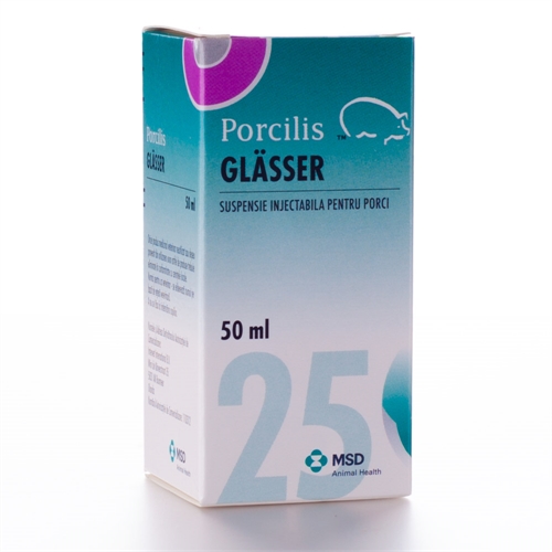 Porcilis glässer