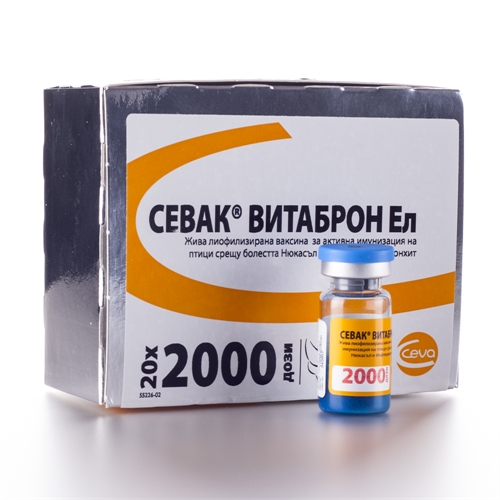 Севак Витаброн Ел