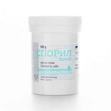 Спорил Спорил