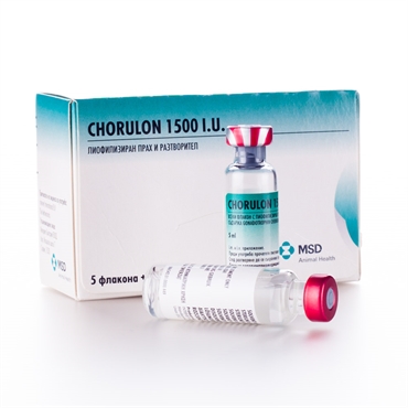 Chorulon 1500 IU Chorulon 1500 IU