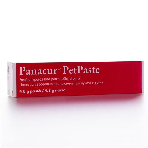 Panacur Pet paste 